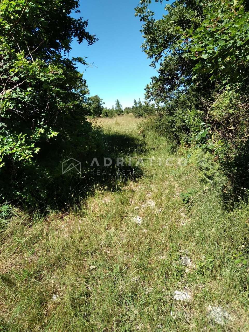 Land u Svetvinčenatu, 12607m²