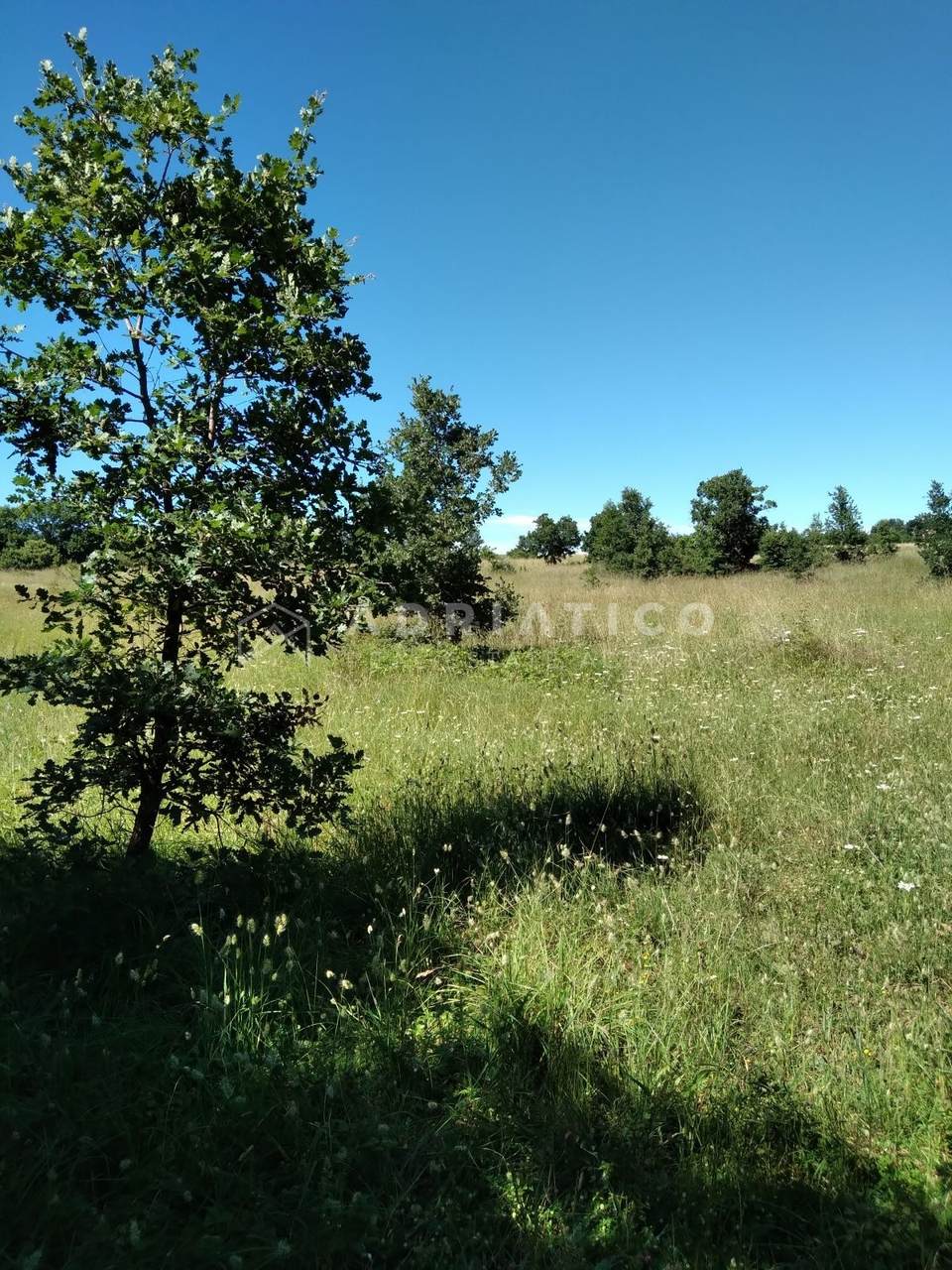 Land u Svetvinčenatu, 12607m², slika 2