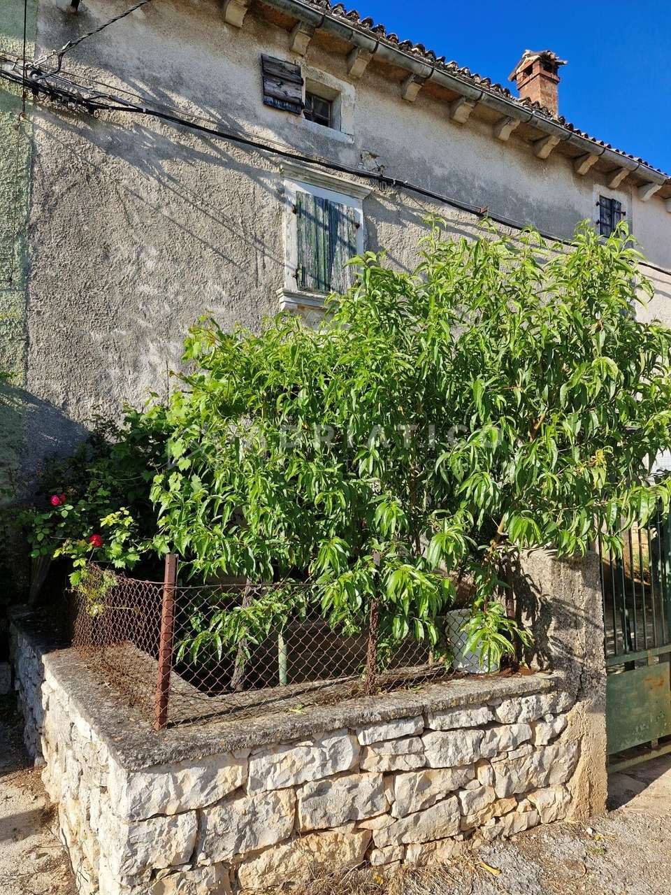House u Kanfanaru, 252m², 2 sobe, slika 3