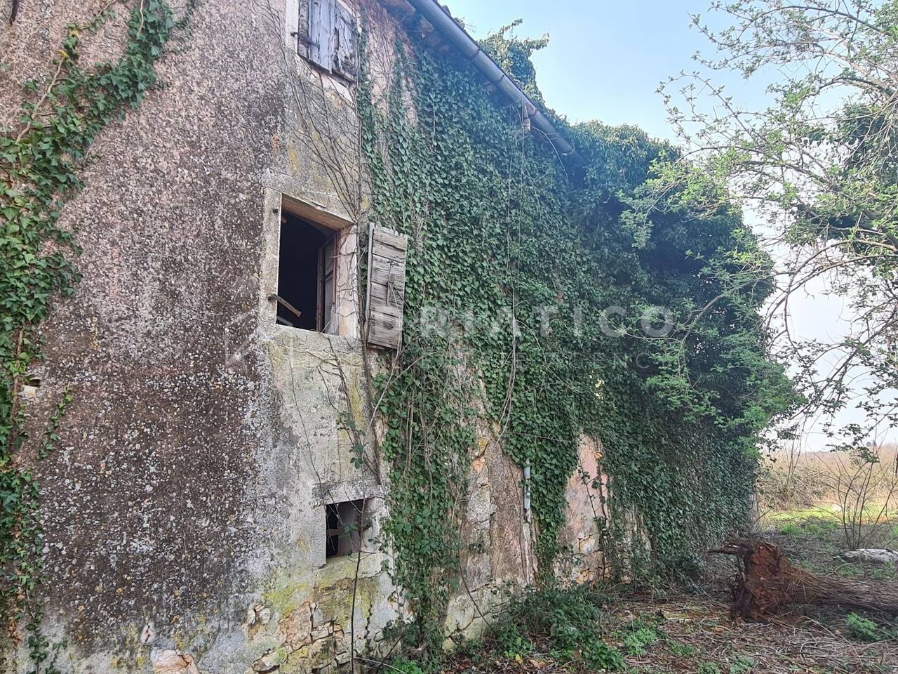 Casa u Vižinadi, 288m², slika 5