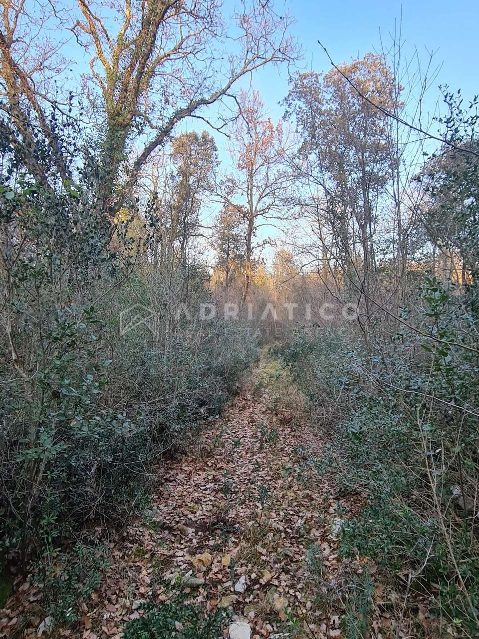 Terreno u Rovinju, 12013m²