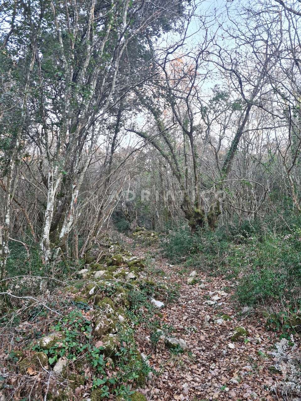 Land u Rovinju, 12013m², slika 2