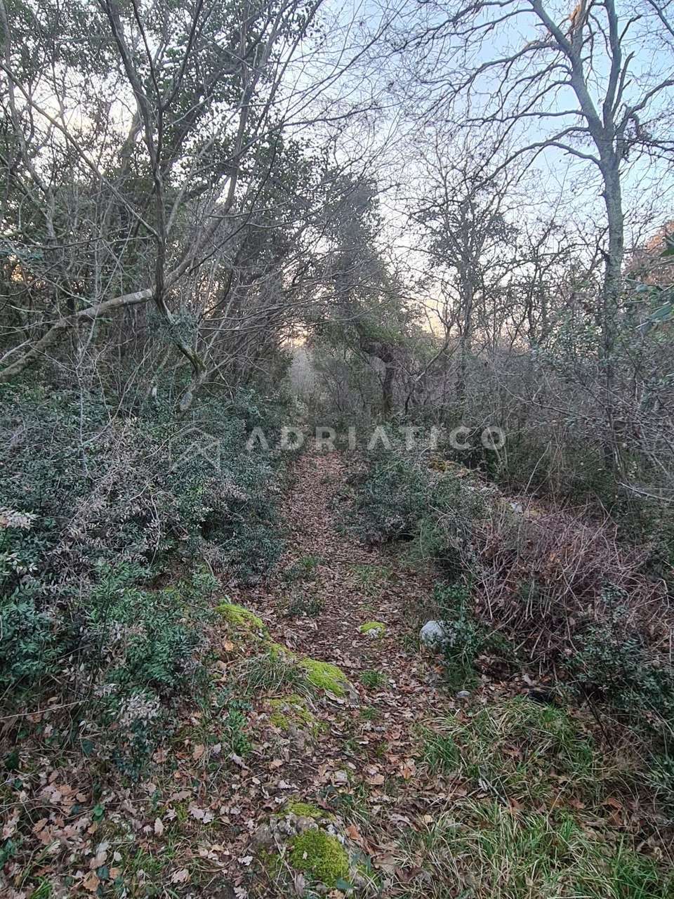 Land u Rovinju, 12013m², slika 4