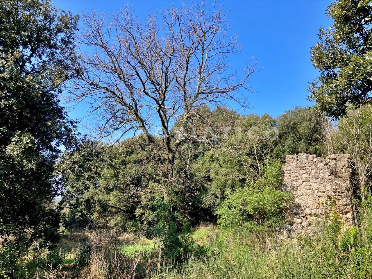 Terreno u Rovinju, 11040m²