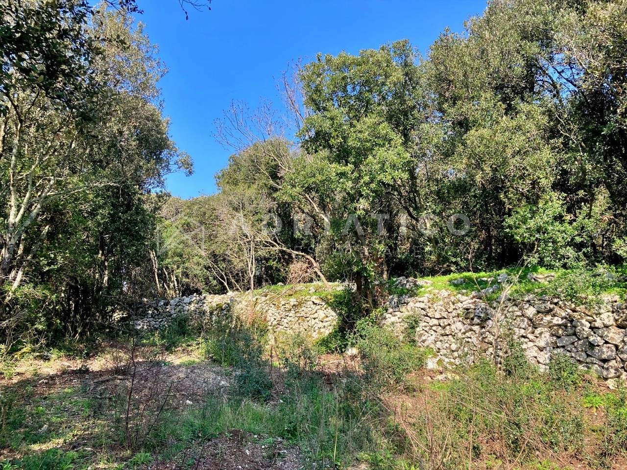Zemljište u Rovinju, 11040m², slika 3