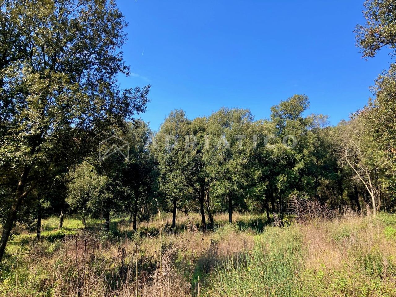 Zemljište u Rovinju, 11040m², slika 4