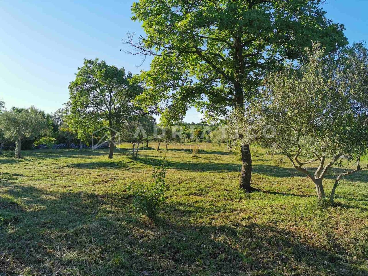 Haus u Rovinju, 62.5m², slika 3