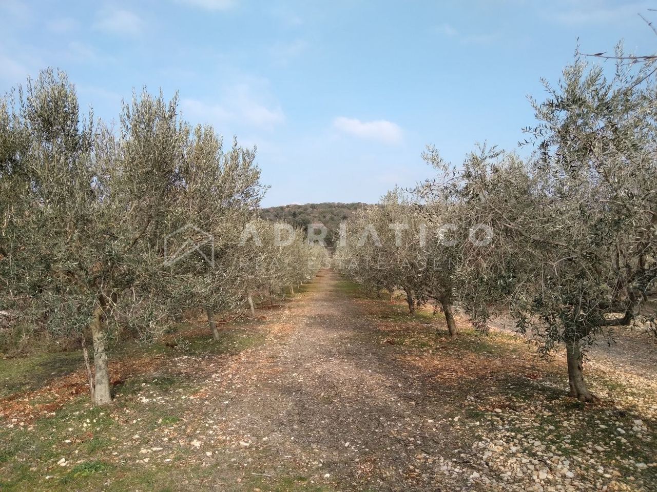 Terreno u Rovinju, 6636m²