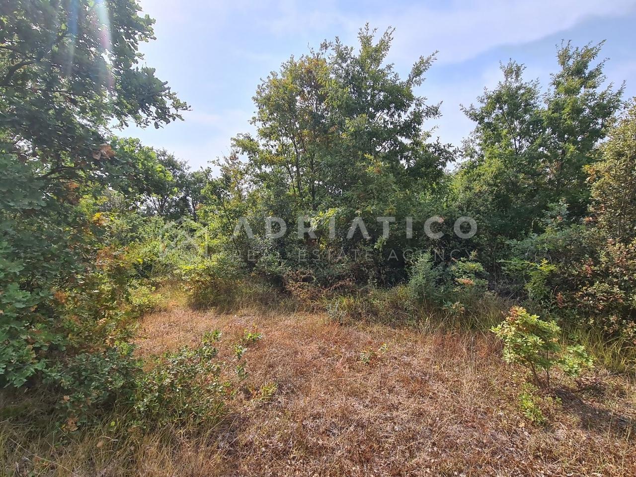 Zemljište u Rovinju, 4128m², slika 2