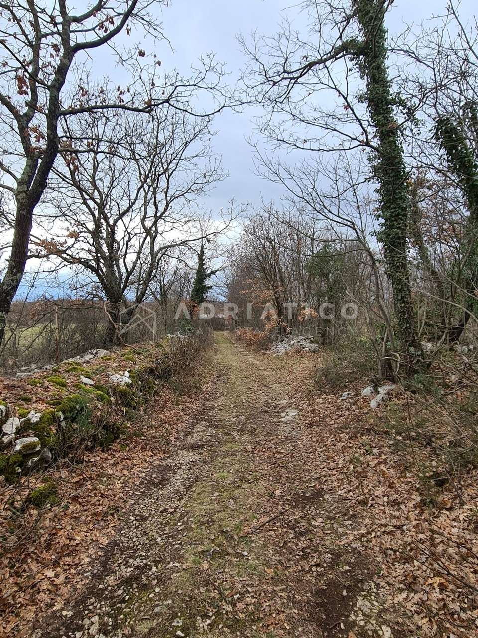 Grundstück u Kanfanaru, 7690m², slika 4