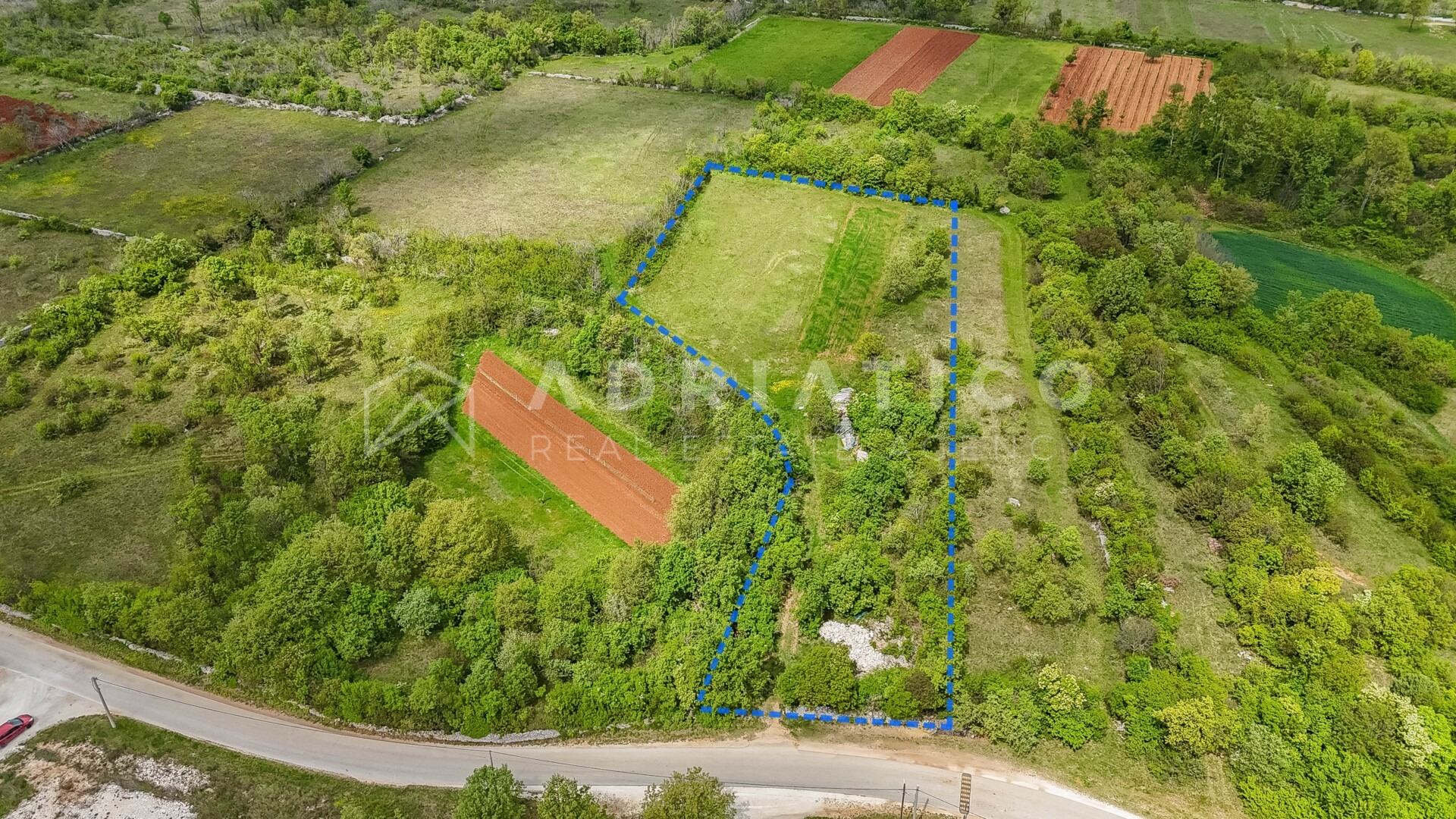 Land u Svetvinčenatu, 5920m²