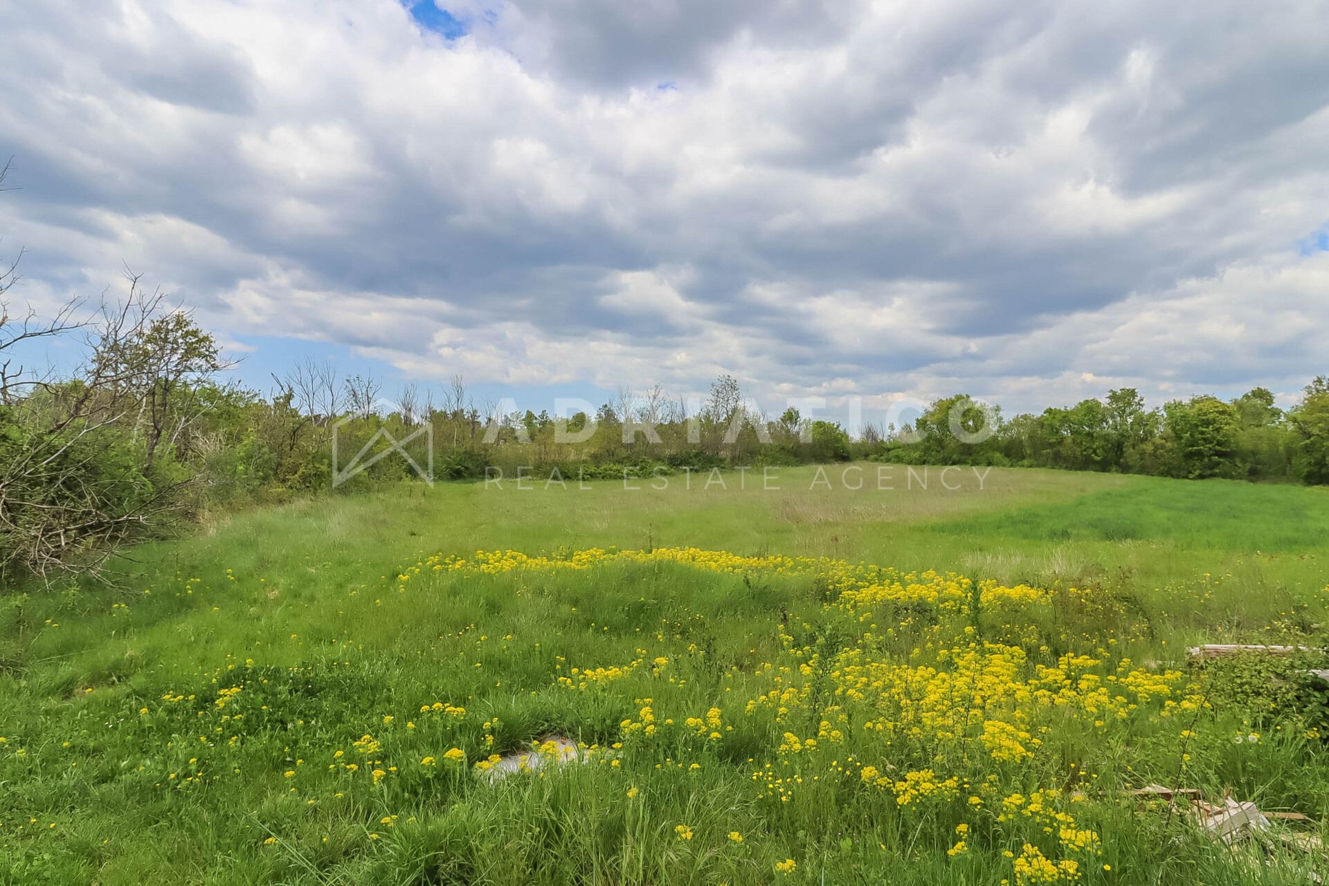Grundstück u Svetvinčenatu, 5920m², slika 3