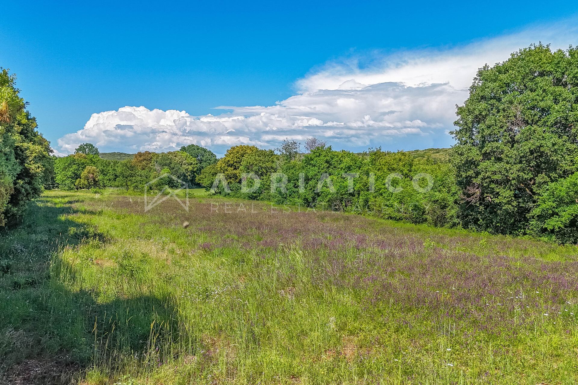 Zemljište u Balama, 4684m², slika 4