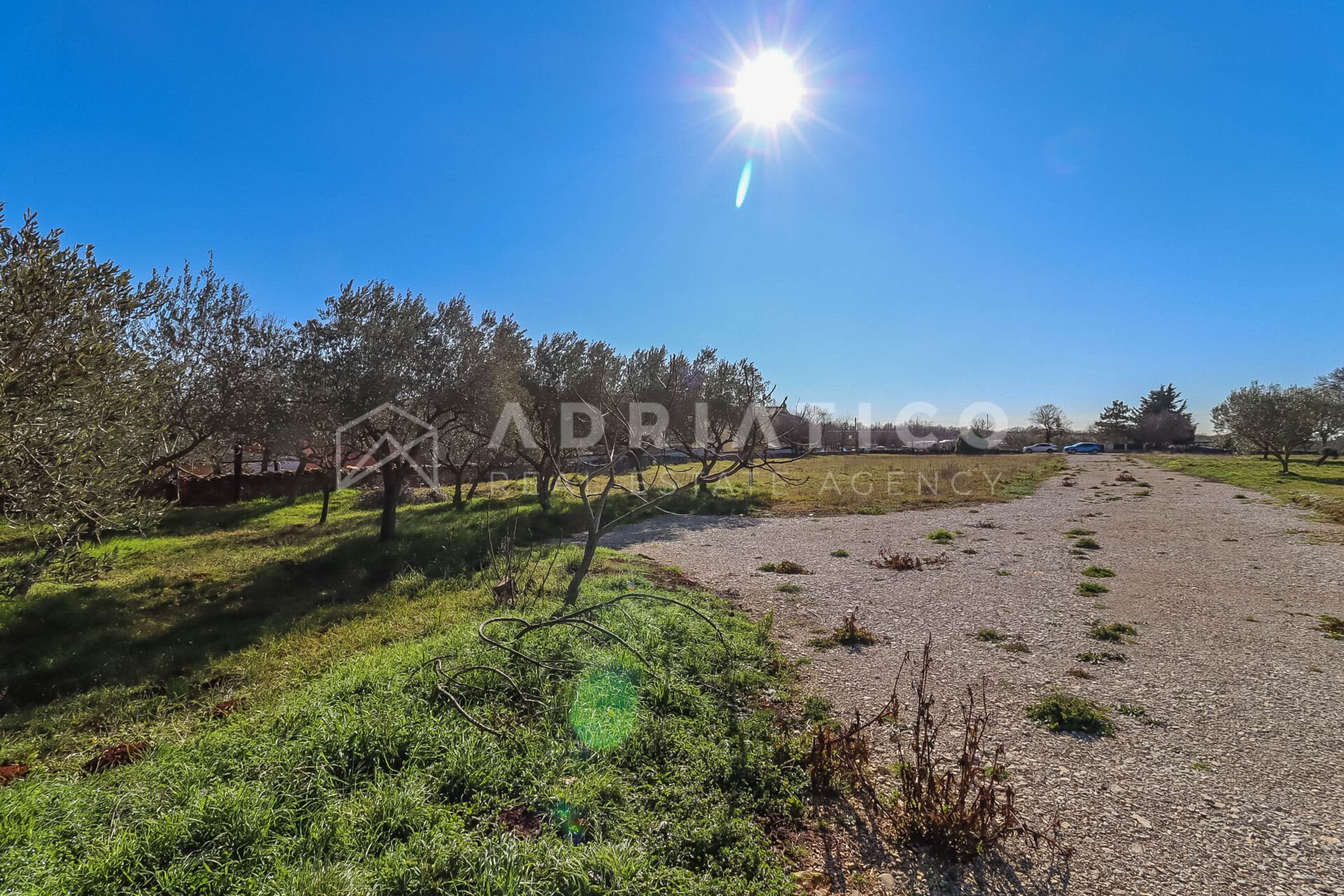 Zemljište u Vodnjanu, 1164m², slika 3