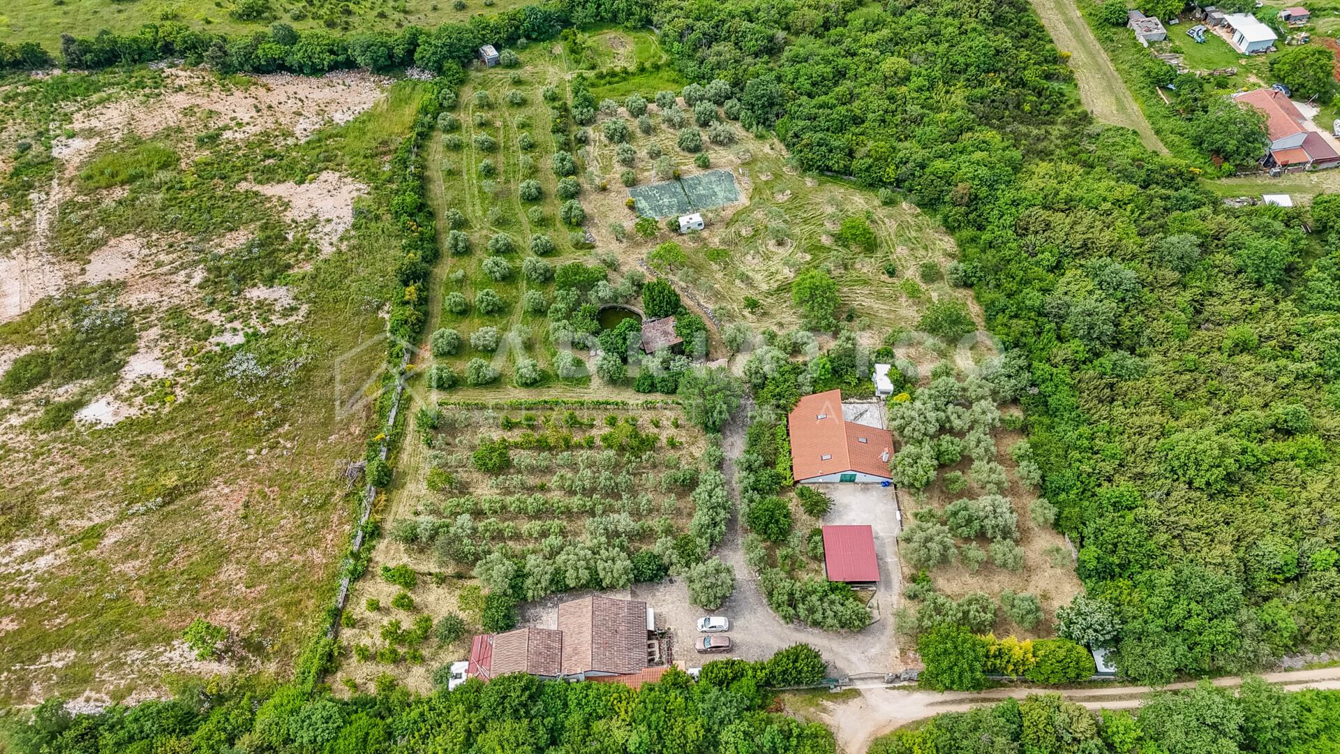 Haus u Rovinju, 250m², 2 sobe, slika 2
