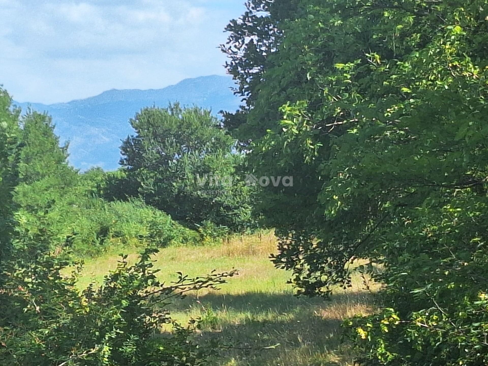 Zemljište u Poličniku, 9000m²