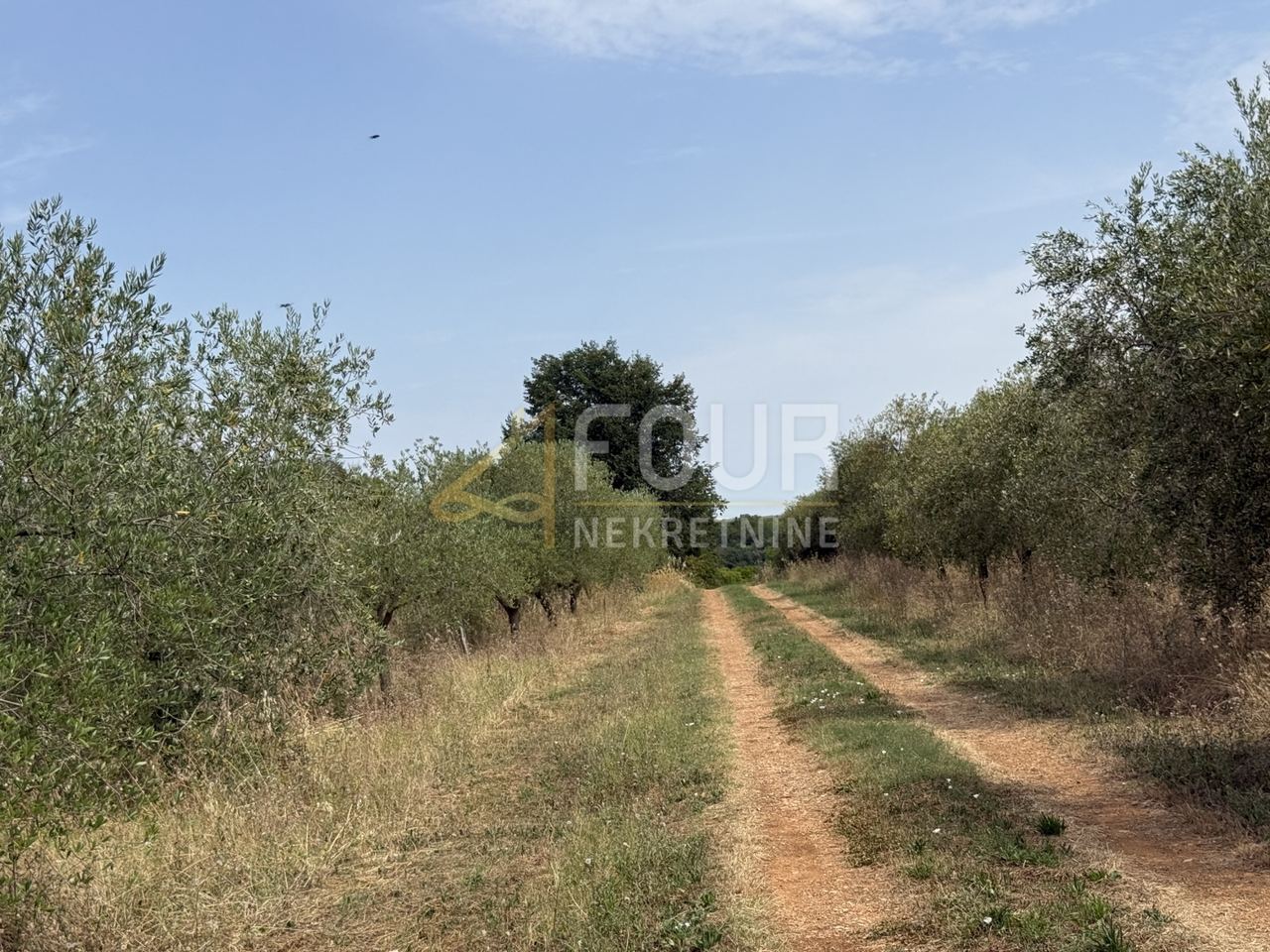 House u Vodnjanu, 100m², slika 2