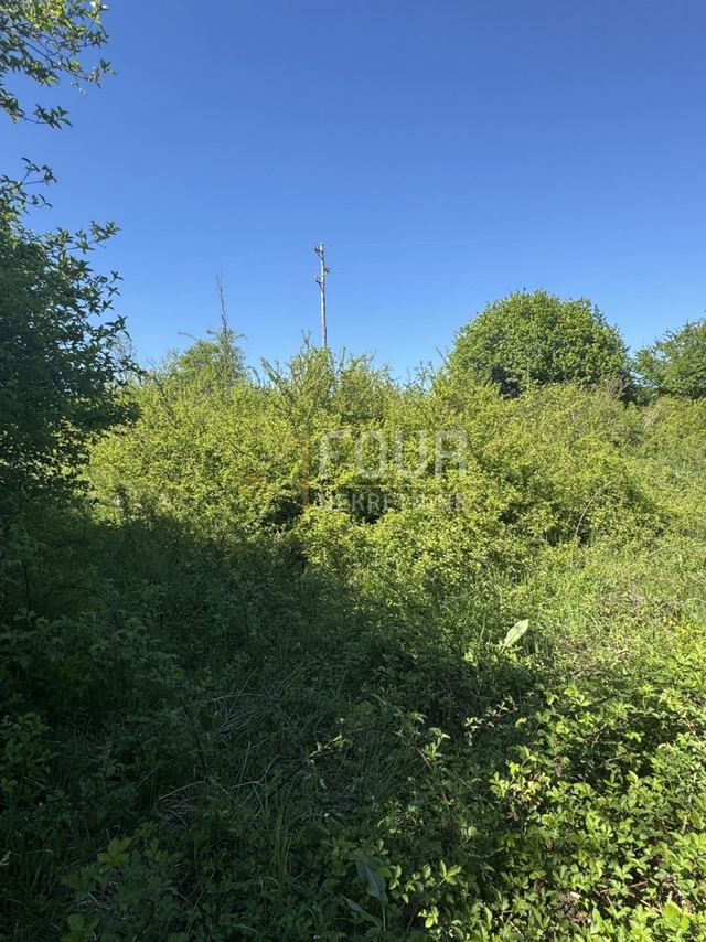 Land u Vrbovsku, 2294m², slika 2