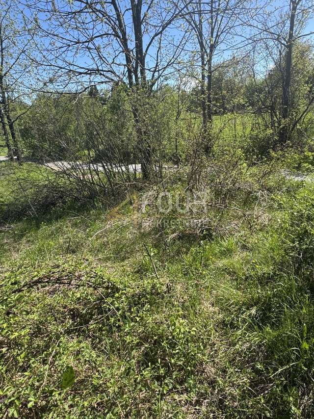 Land u Vrbovsku, 2294m², slika 3