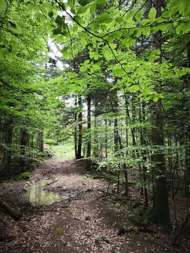 Terreno u Vrbovsku, 13488m², slika 3