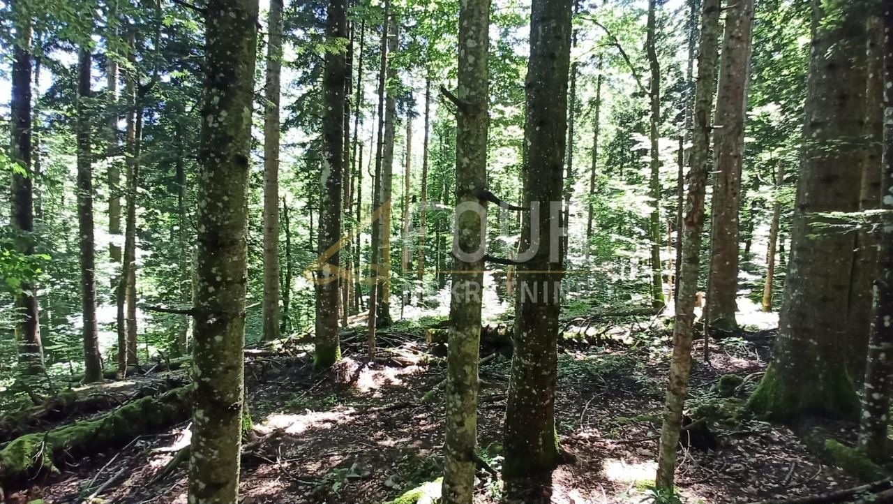 Terreno u Vrbovsku, 13488m², slika 4