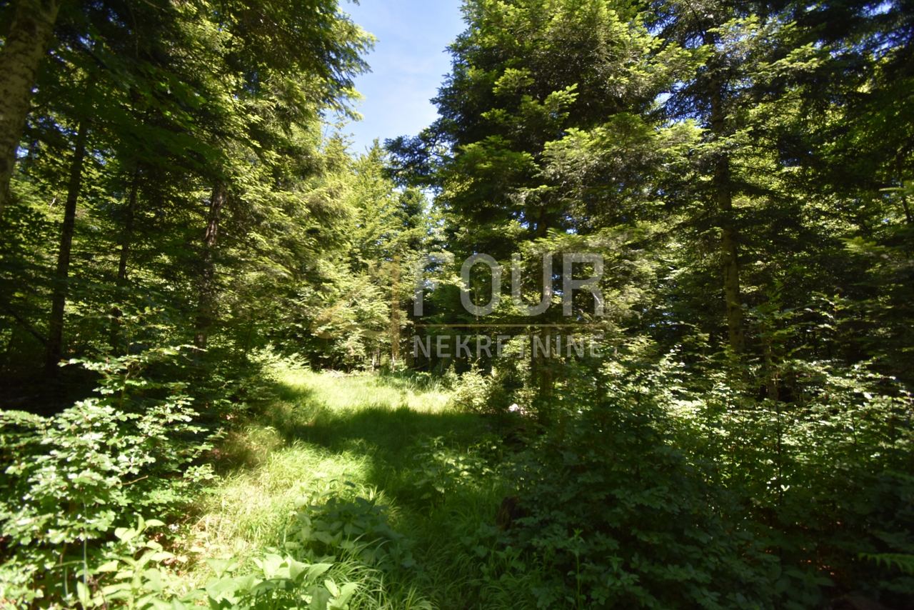Terreno u Vrbovsku, 13488m², slika 5