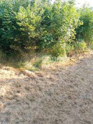 Land u Buzetu, 1441m²