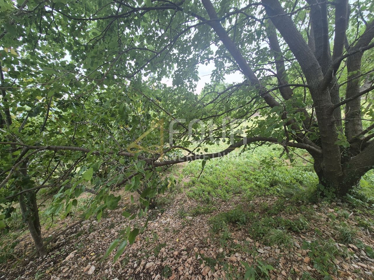 Zemljište u Bakaru, 876m², slika 2