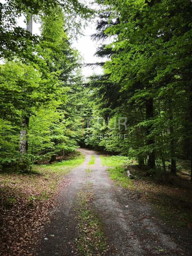 Zemljište u Vrbovsku, 17835m²