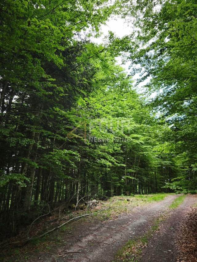 Terreno u Vrbovsku, 31323m², slika 5