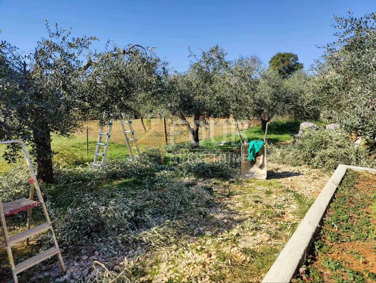 Grundstück u Umagu, 3076m², slika 2