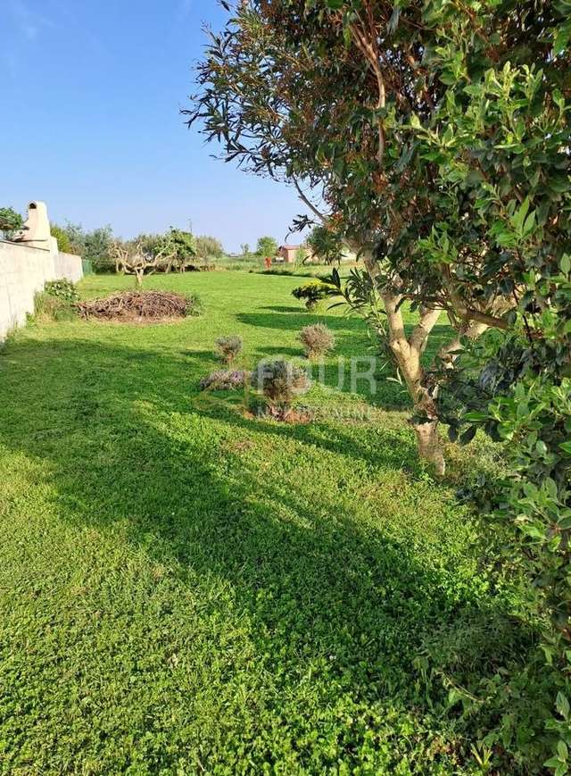 Grundstück u Marčani, 1305m², slika 2