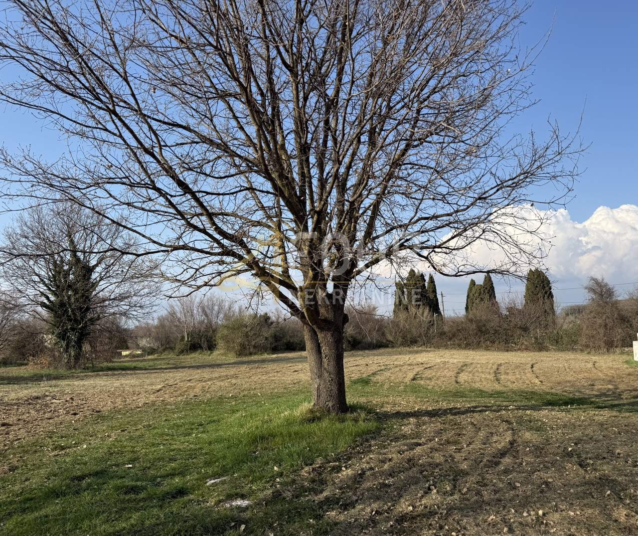 Grundstück u Ližnjanu, 674m², slika 2