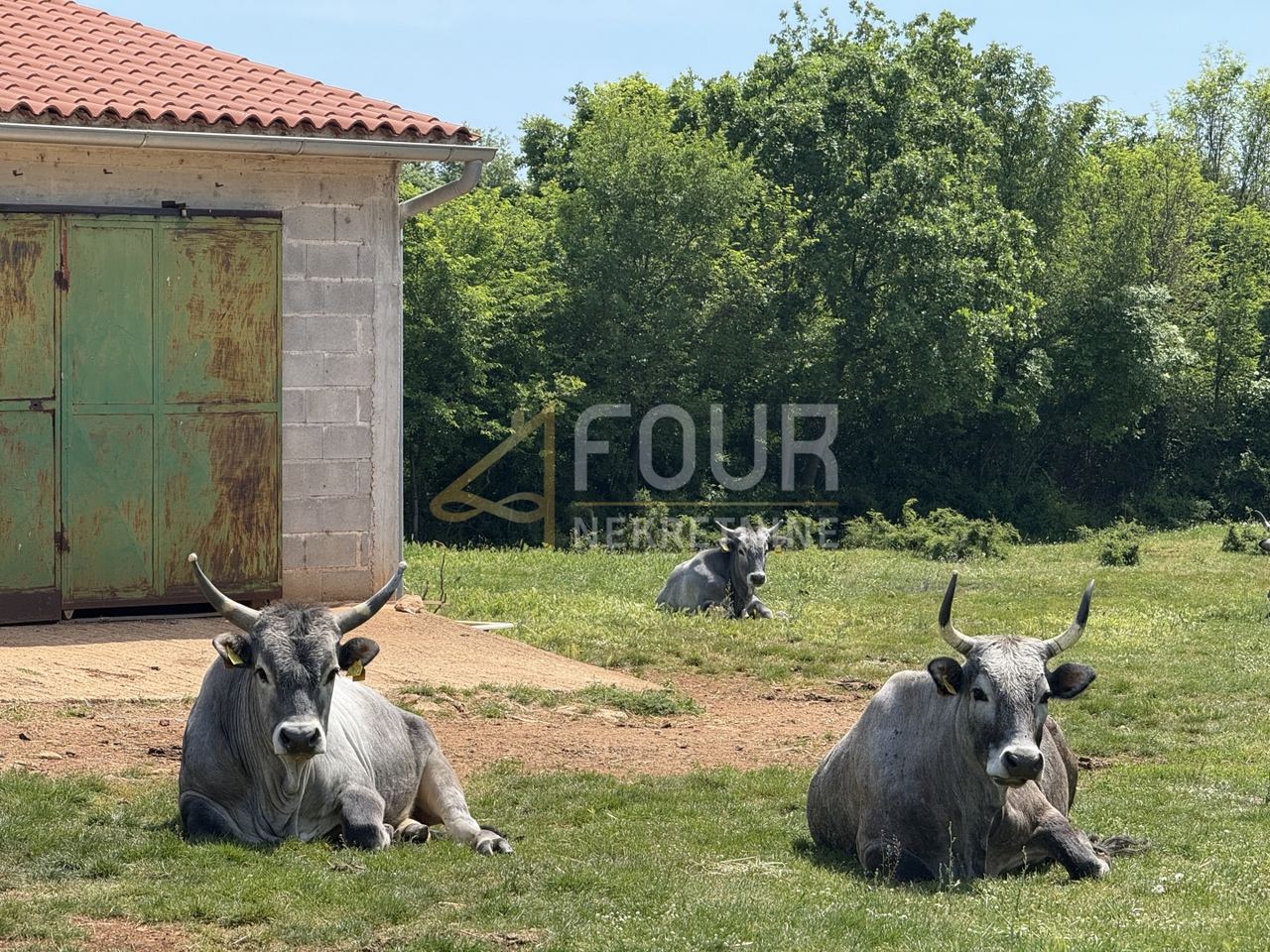 Haus u Marčani, 121m², 2 sobe