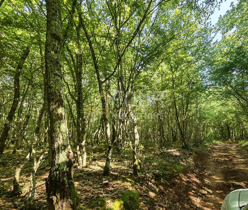 Land u Svetvinčenatu, 6122m²