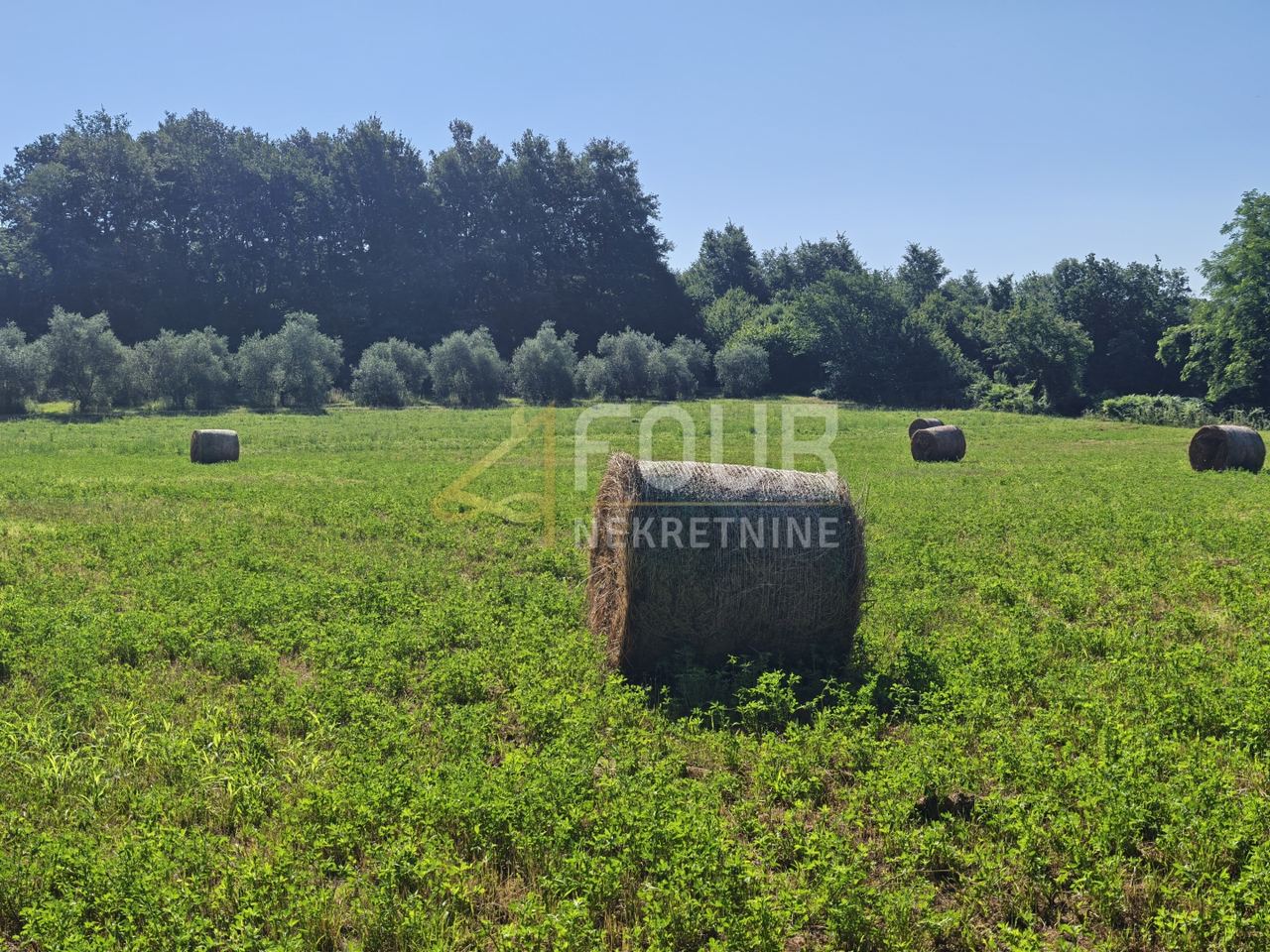 Zemljište u Svetvinčenatu, 6122m², slika 2