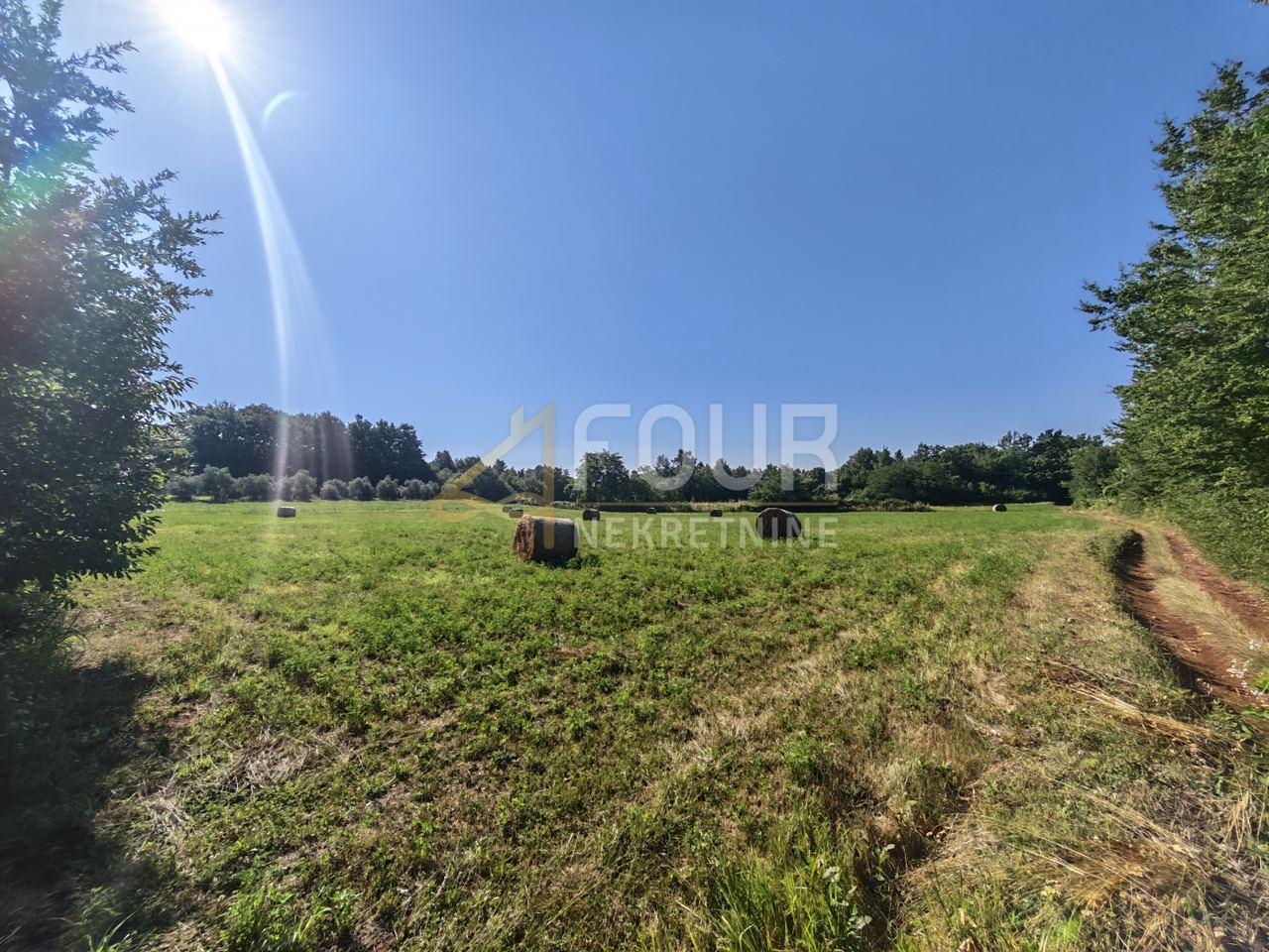 Zemljište u Svetvinčenatu, 6122m², slika 4