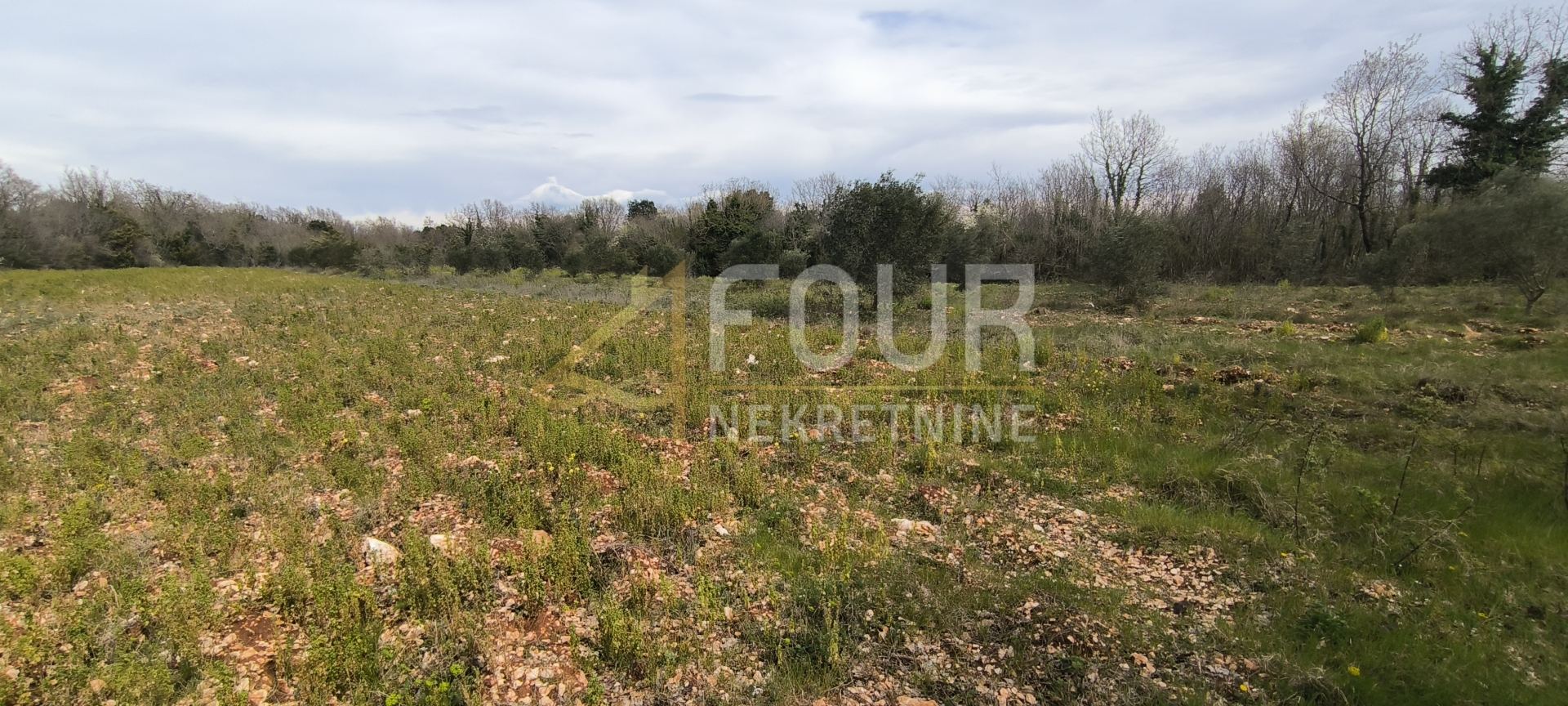 Grundstück u Marčani, 7517m², slika 2