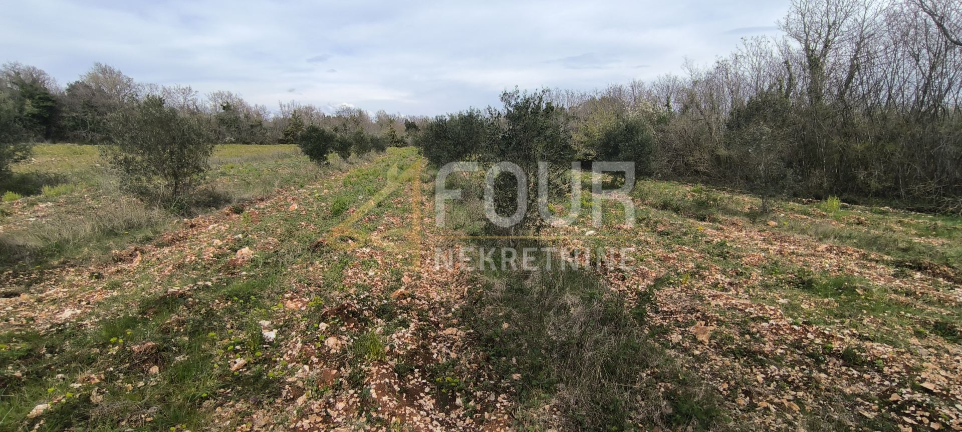 Grundstück u Marčani, 7517m², slika 3