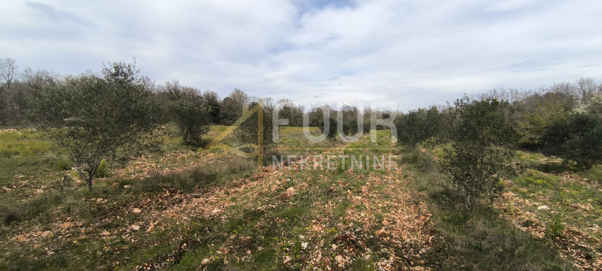 Grundstück u Marčani, 7517m², slika 4