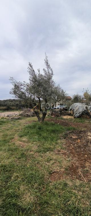 Kuća u Marčani, 50m², 2 sobe, slika 3