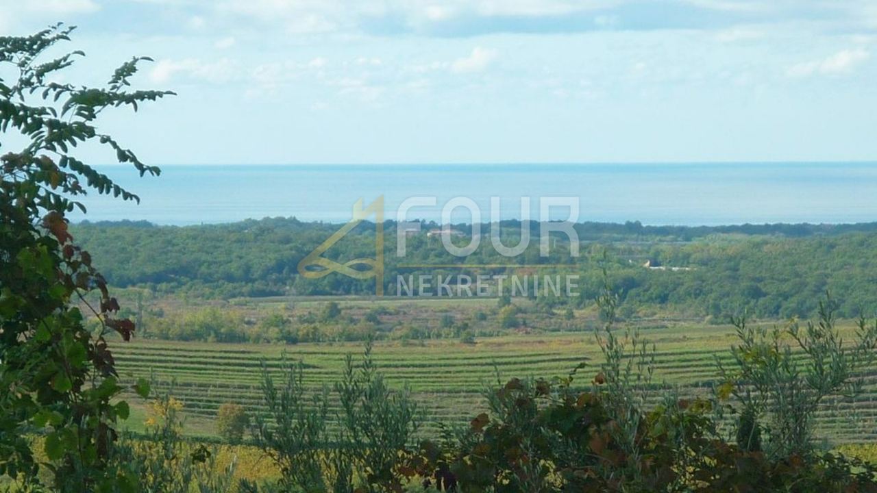 Zemljište u Buju, 1341m²