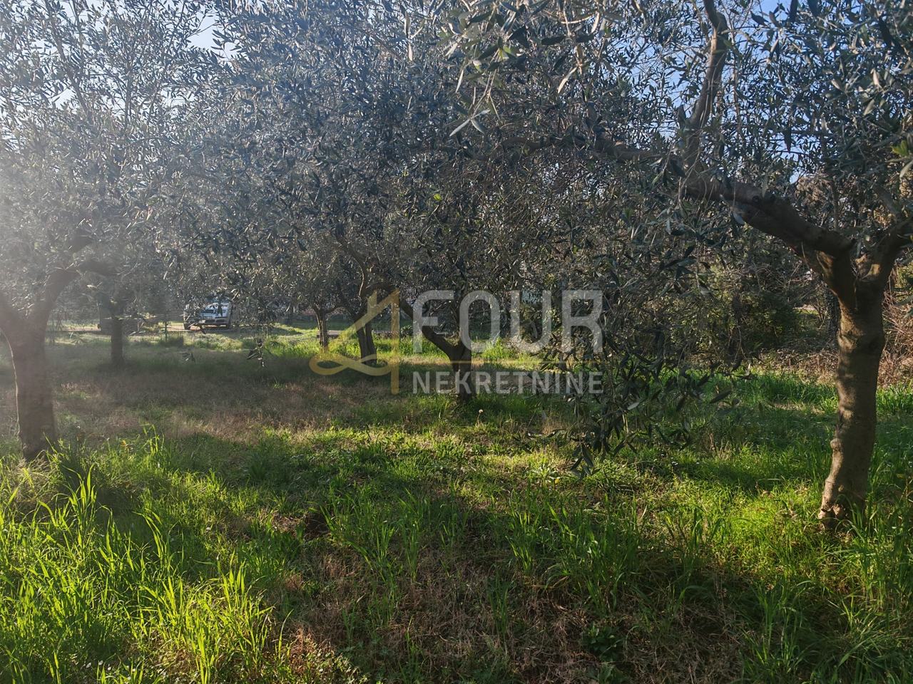 Land u Marčani, 3045m²