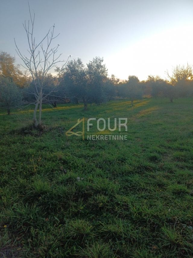 Land u Marčani, 3045m², slika 3