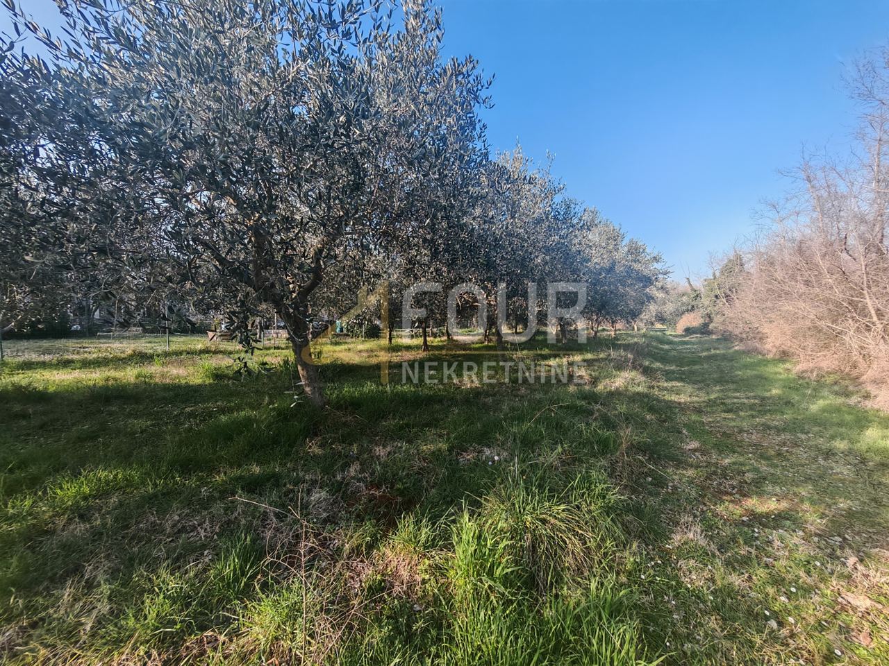 Land u Marčani, 3045m², slika 4