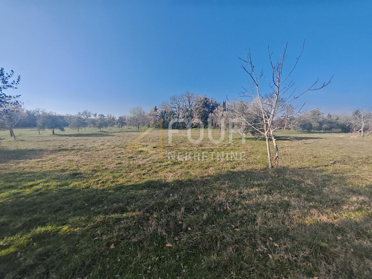 Land u Marčani, 3045m², slika 5