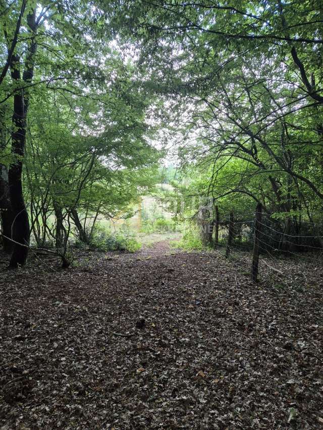 Land u Kaštelir-Labinciu, 24118m²