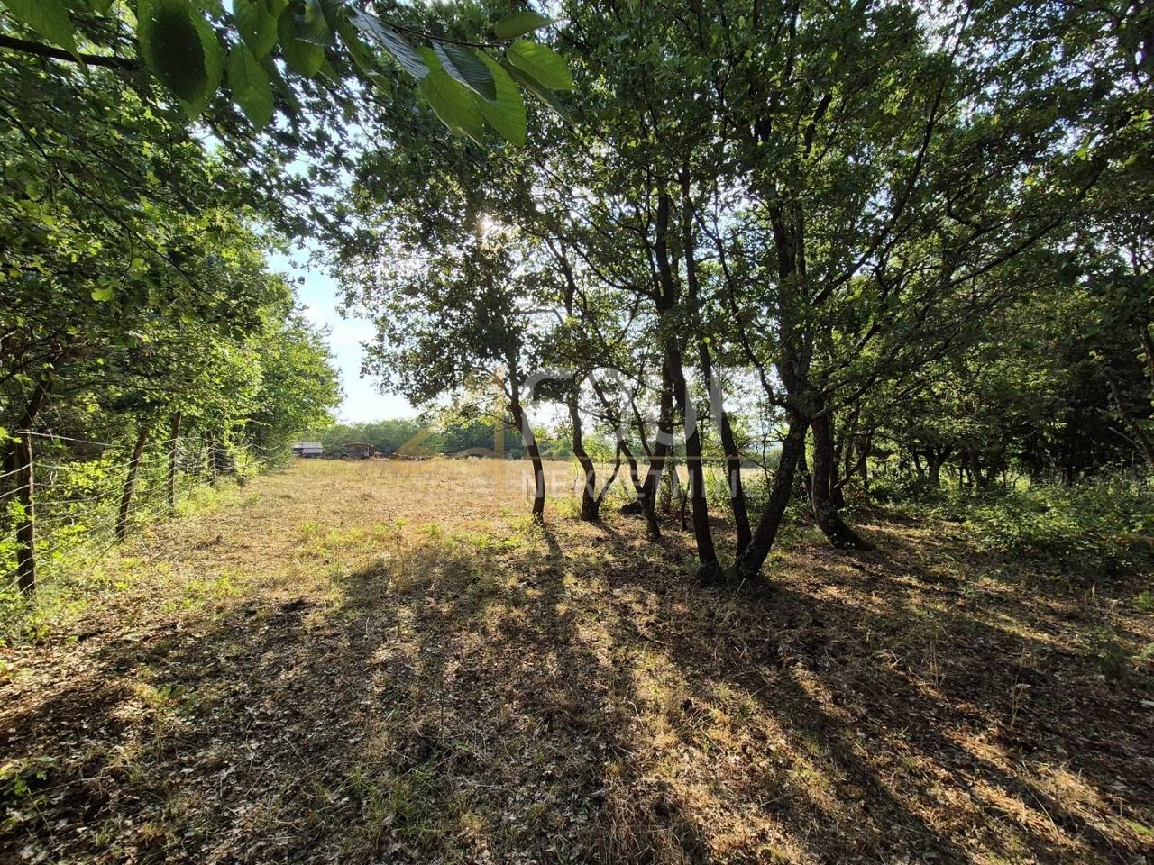 Zemljište u Kaštelir-Labinciu, 24118m², slika 2