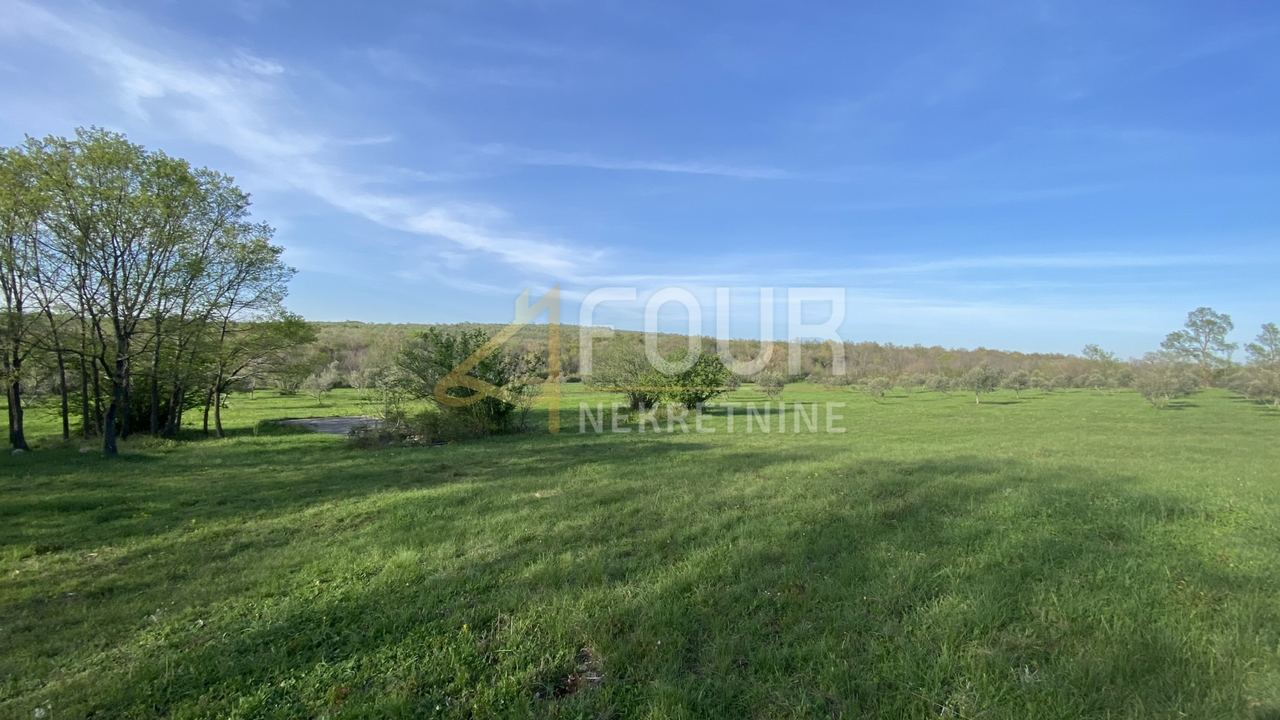 Land u Kanfanaru, 13301m², slika 2