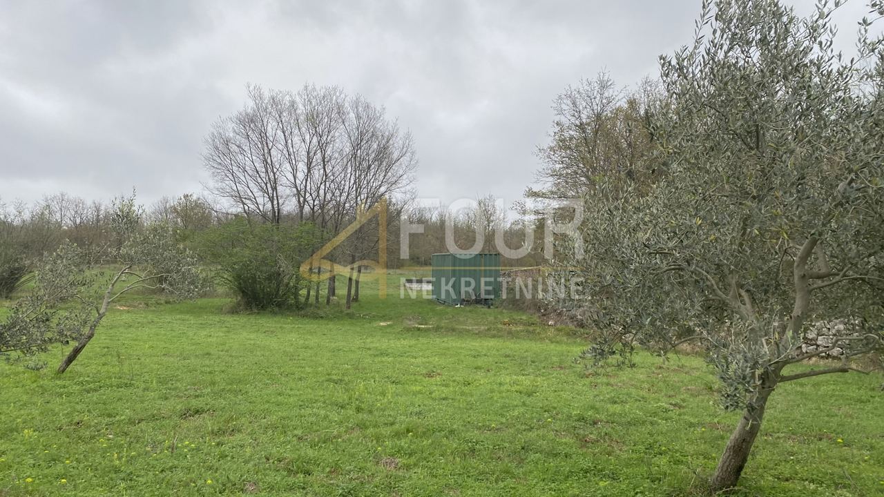 Land u Kanfanaru, 13301m², slika 5